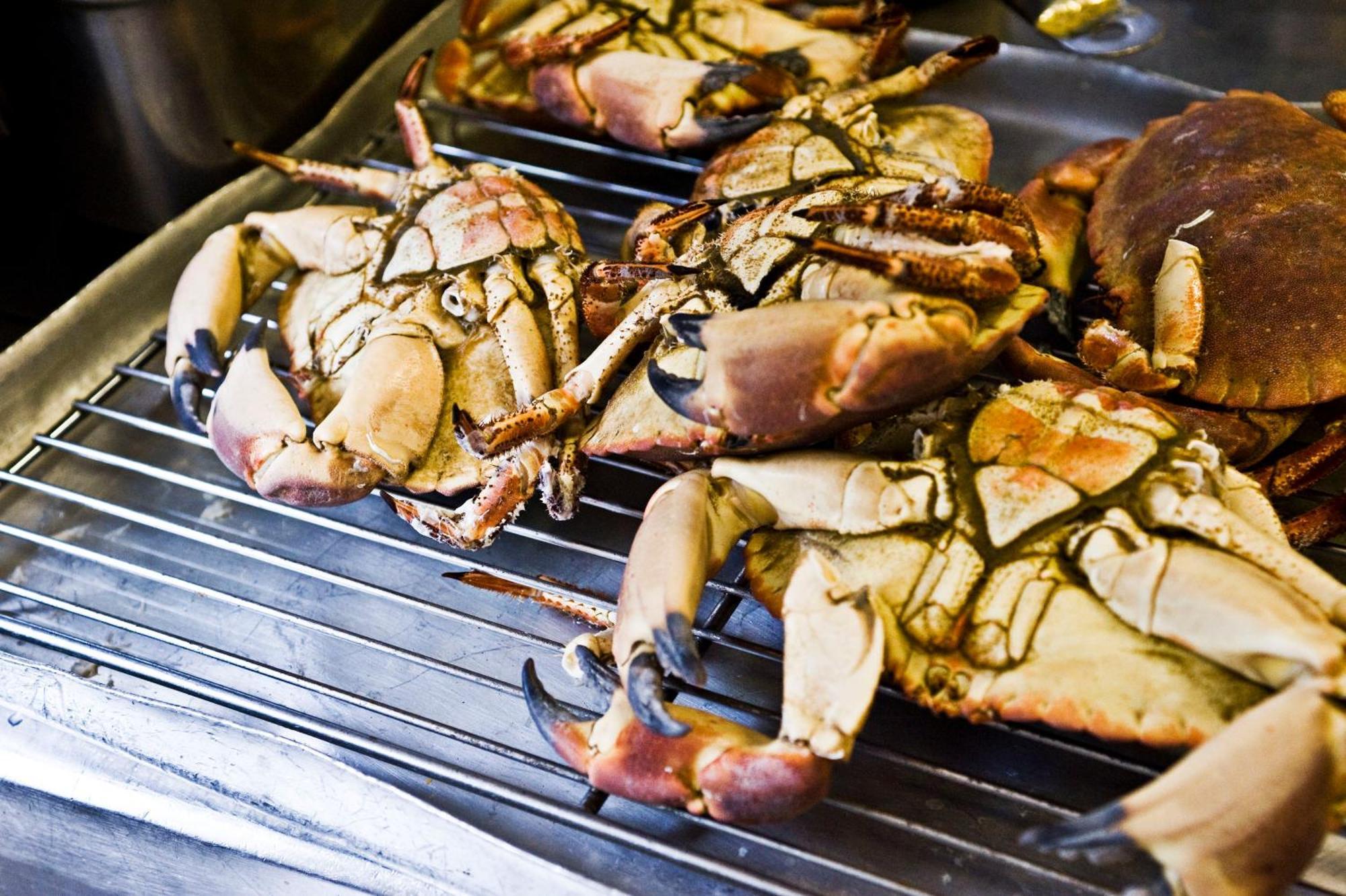 One Devonshire Gardens A Hotel Du Vin Glasgow Exterior photo Mud crab